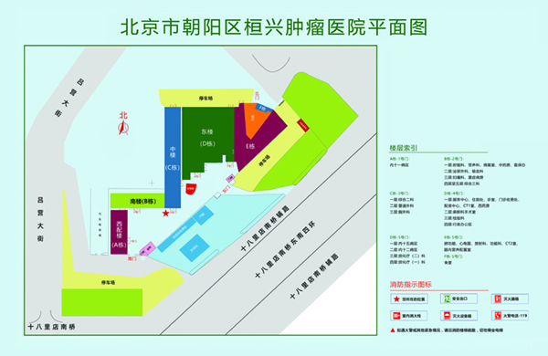 舔浪淫比视频在线播放北京市朝阳区桓兴肿瘤医院平面图